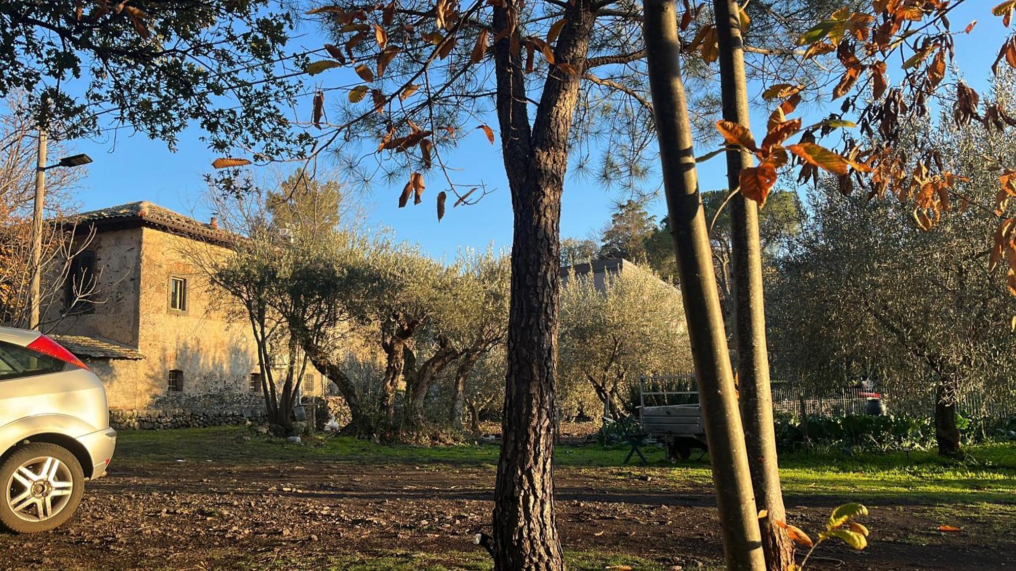 Poggio Roseto Villa Randazzo Exterior foto
